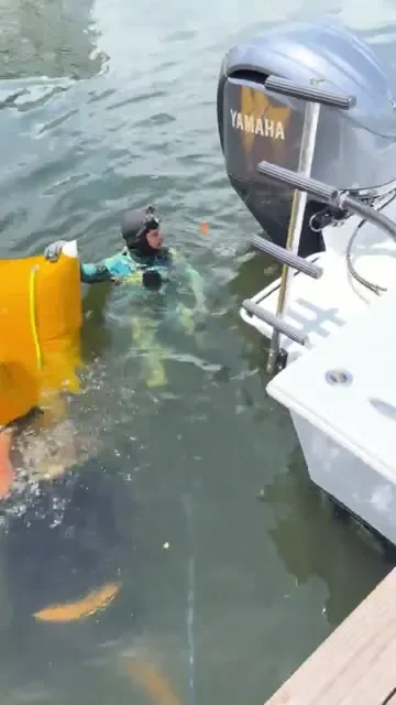 Diver at the vessel stern video preview