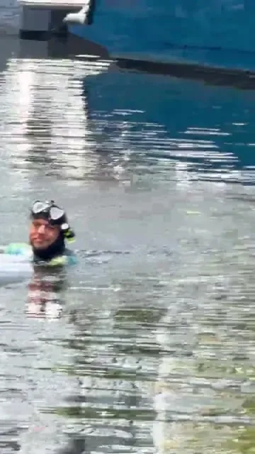 Diver working at the marina video preview