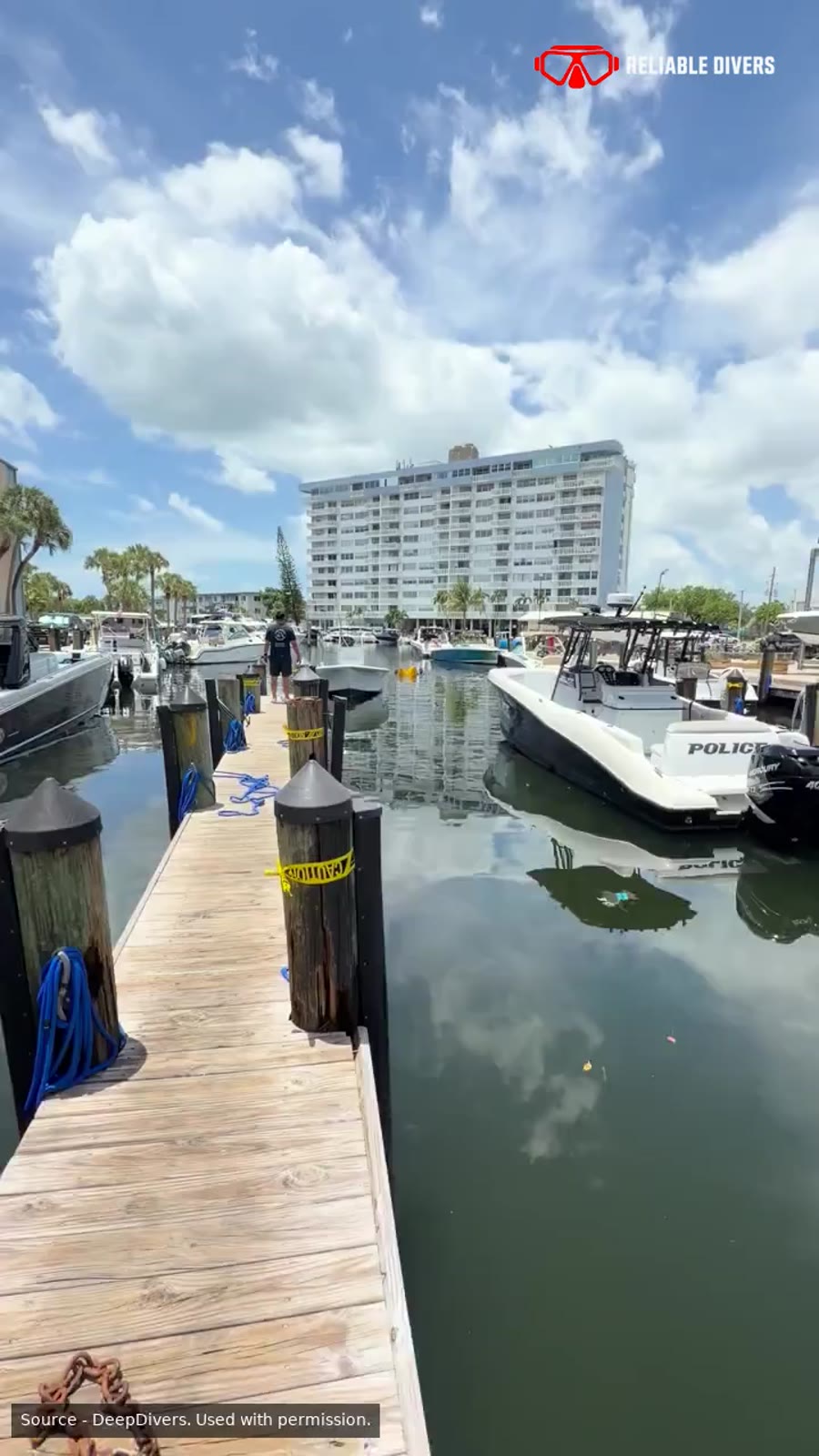 Diver working at the marina video preview