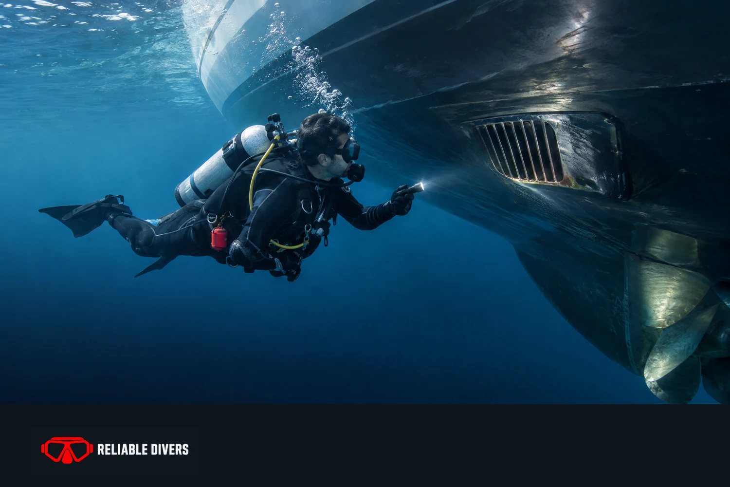 A closer perspective. Illustrative marine care imagery.